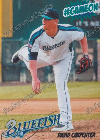 2016 Bridgeport Bluefish David Carpenter