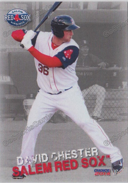 2014 Salem Red Sox David Chester