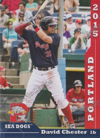 2015 Portland Sea Dogs David Chester