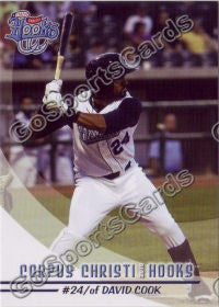 2010 Corpus Christi Hooks David Cook