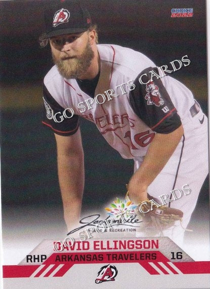 2022 Arkansas Travelers David Ellingson