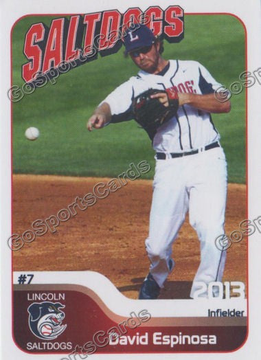 2013 Lincoln Saltdogs David Espinosa