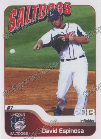 2013 Lincoln Saltdogs David Espinosa