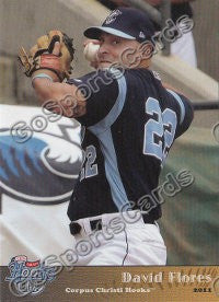2011 Corpus Christi Hooks David Flores