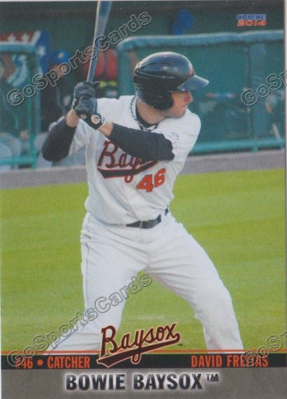 2014 Bowie Baysox David Freitas