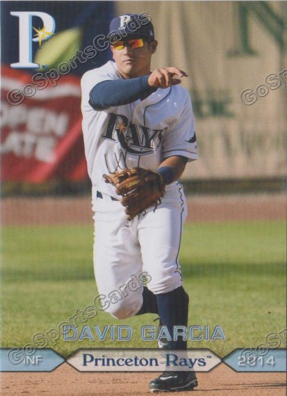 2014 Princeton Rays David Garcia