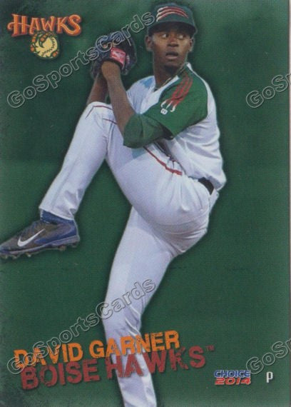 2014 Boise Hawks David Garner