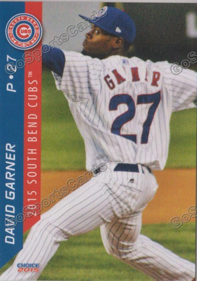 2015 South Bend Cubs David Garner