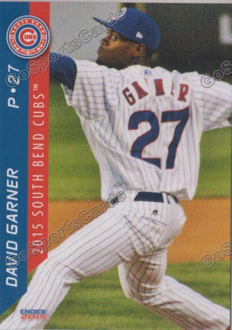2015 South Bend Cubs David Garner