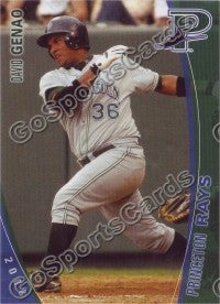 2008 Princeton Rays David Genao
