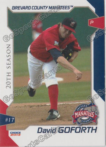 2013 Brevard County Manatees David Goforth