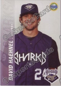 2006 Honolulu Sharks Hawaii League David Haehnel