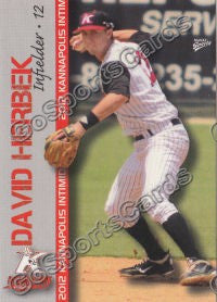 2012 Kannapolis Intimidators David Herbek