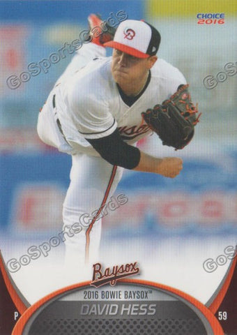 2016 Bowie Baysox David Hess