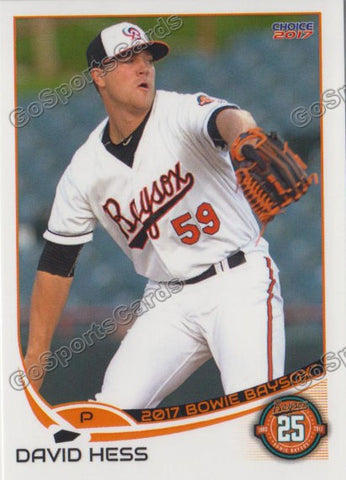 2017 Bowie Baysox David Hess