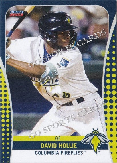 2023 Columbia Fireflies David Hollie