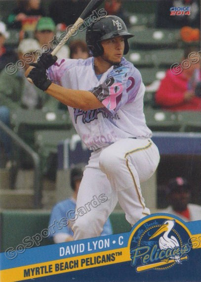 2014 Myrtle Beach Pelicans David Lyon