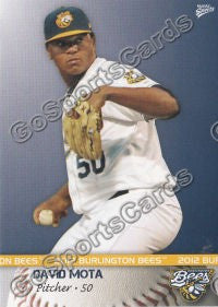 2012 Burlington Bees David Mota