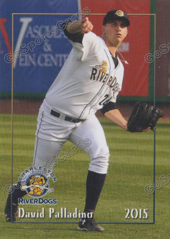 2015 Charleston Riverdogs David Palladino