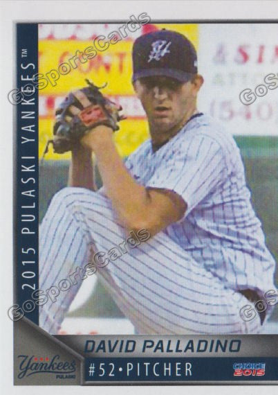 2015 Pulaski Yankees David Palladino