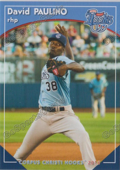 2016 Corpus Christi Hooks David Paulino