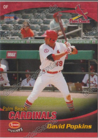 2013 Palm Beach Cardinals David Popkins