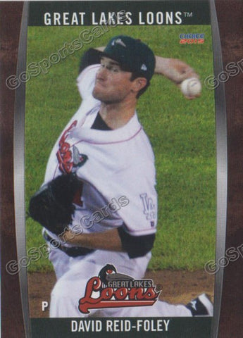 2015 Great Lakes Loons David Reid Foley