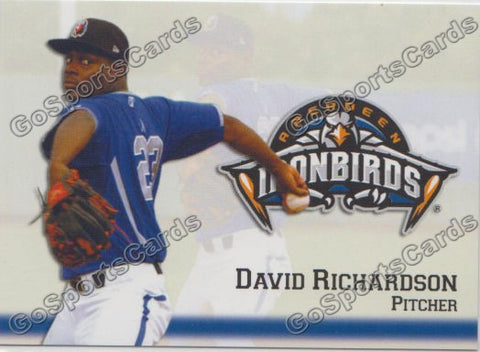2013 Aberdeen Ironbirds David Richardson