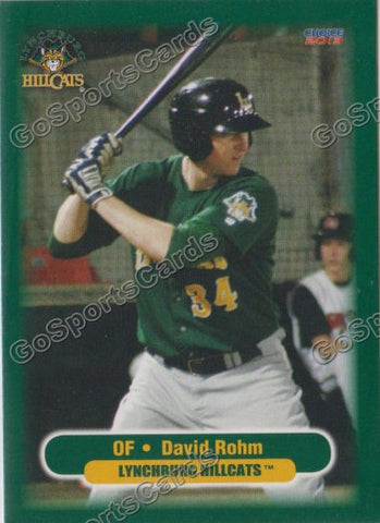 2013 Lynchburg Hillcats David Rohm