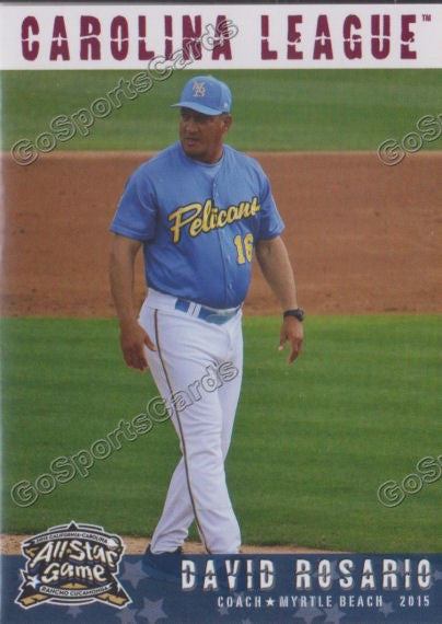 2015 Carolina League All Star David Rosario
