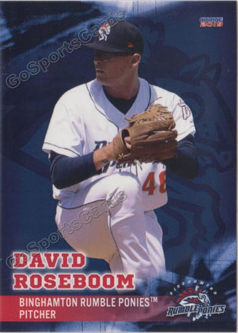 2019 Binghamton Rumble Ponies David Roseboom