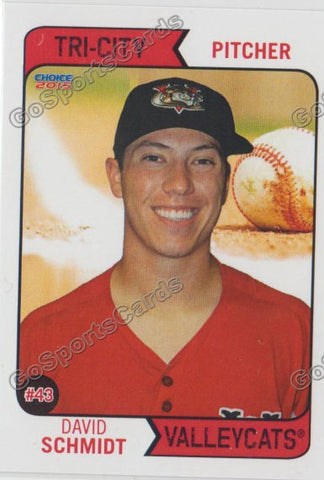 2015 Tri City ValleyCats David Schmidt