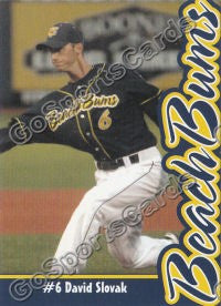 2010 Traverse City BeachBums David Slovak