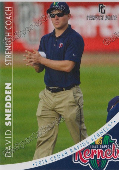 2014 Cedar Rapids Kernels David Snedden