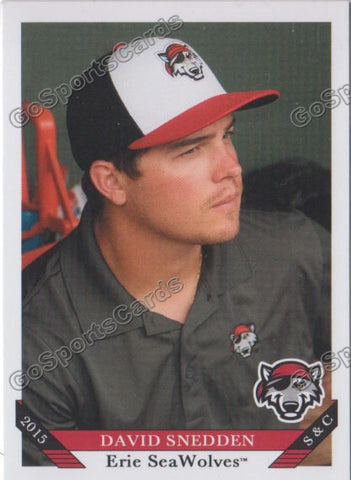 2015 Erie Seawolves David Snedden