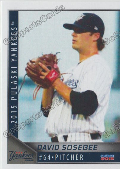 2015 Pulaski Yankees David Sosebee