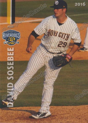 2016 Charleston RiverDogs David Sosebee