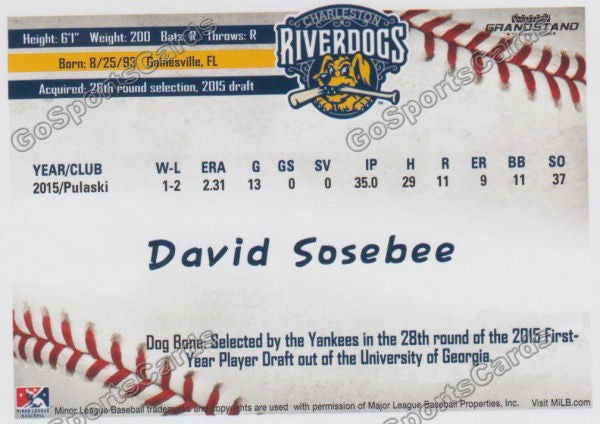 2016 Charleston RiverDogs David Sosebee Back of Card