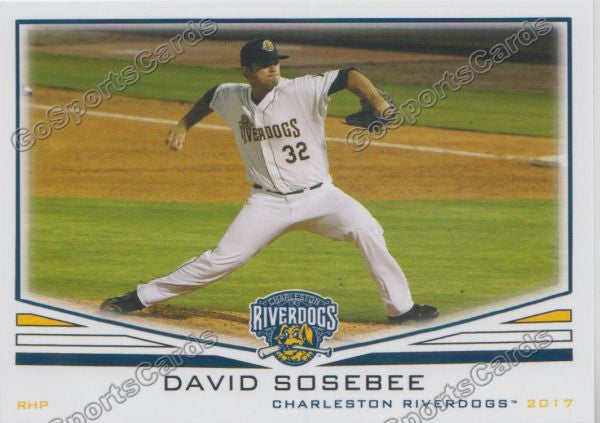 2017 Charleston RiverDogs David Sosebee
