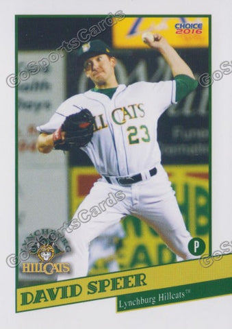 2016 Lynchburg Hillcats David Speer