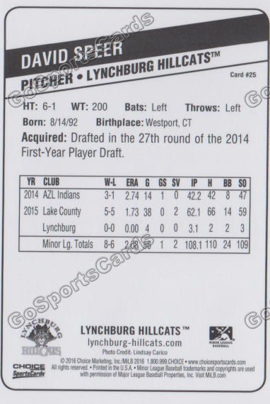 2016 Lynchburg Hillcats David Speer  Back of Card