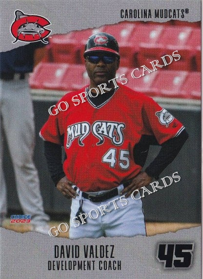 2023 Carolina Mudcats David Valdez