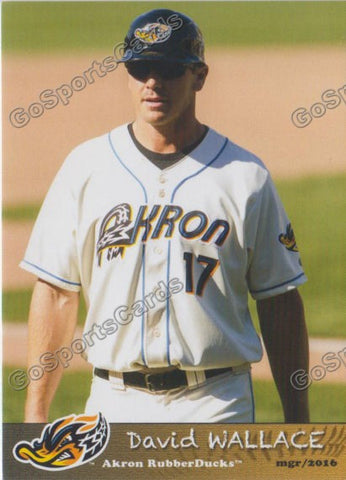 2016 Akron Aeros David Wallace