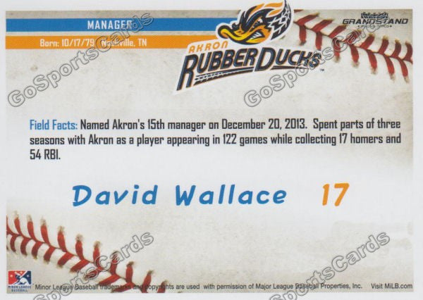 2016 Akron Aeros David Wallace Back of Card