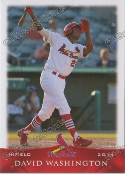 2014 Palm Beach Cardinals David Washington
