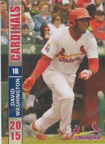 2015 Springfield Cardinals David Washington