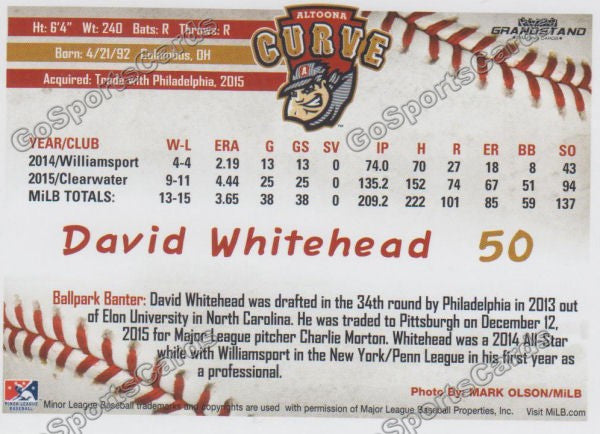 2016 Altoona Curve David Whitehead Back of Card