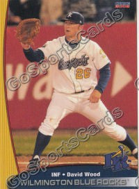 2008 Wilmington Blue Rocks David Wood