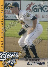 2009 Burlington Bees David Wood