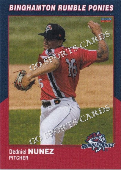 2023 Binghamton Rumble Ponies Dedniel Nunez